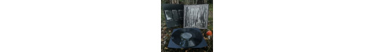 Verborgen in den Tiefen der Wälder - Vinyl