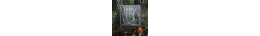 Verborgen in den Tiefen der Wälder - Vinyl