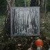 Verborgen in den Tiefen der Wälder - Vinyl