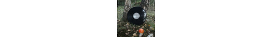 Verborgen in den Tiefen der Wälder - Vinyl