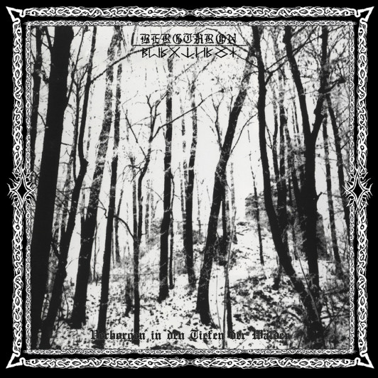 Verborgen in den Tiefen der Wälder - Vinyl